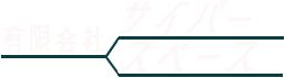 有限会社サイバースペース